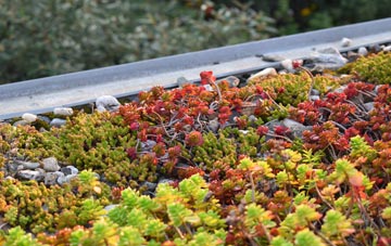 the cost of Hulland Moss green roof installation